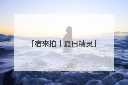 宿来拍丨夏日精灵