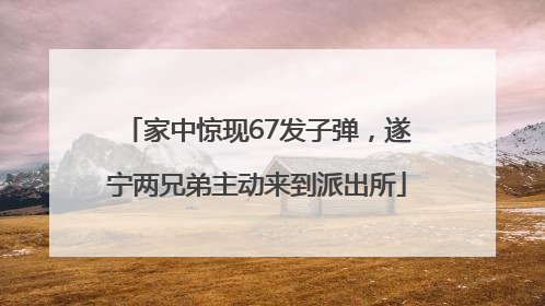 家中惊现67发子弹，遂宁两兄弟主动来到派出所