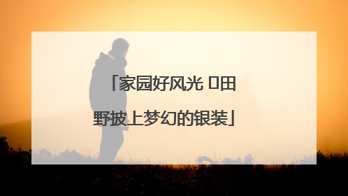 家园好风光 ⎮田野披上梦幻的银装