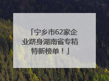 宁乡市62家企业跻身湖南省专精特新榜单！
