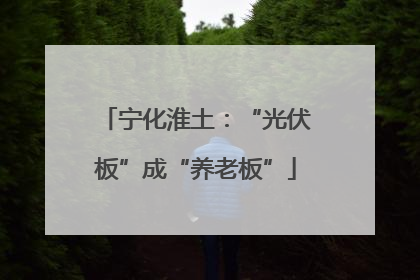 宁化淮土：“光伏板”成“养老板”