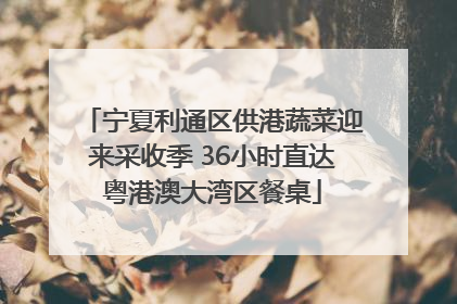宁夏利通区供港蔬菜迎来采收季 36小时直达粤港澳大湾区餐桌