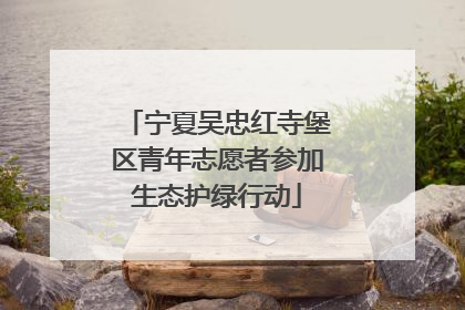 宁夏吴忠红寺堡区青年志愿者参加生态护绿行动