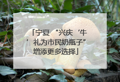 宁夏 “兴庆‘牛’礼为市民奶瓶子”增添更多选择