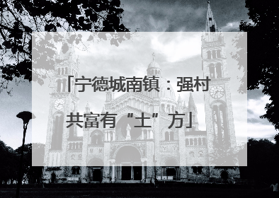 宁德城南镇：强村共富有“土”方