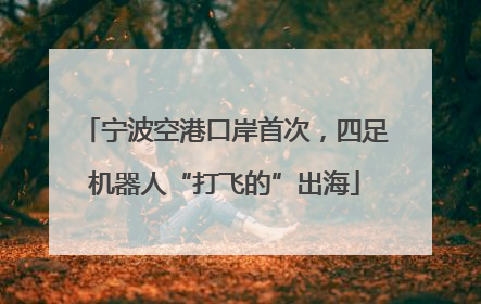 宁波空港口岸首次，四足机器人“打飞的”出海
