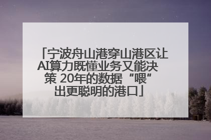 宁波舟山港穿山港区让AI算力既懂业务又能决策 20年的数据“喂”出更聪明的港口