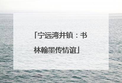宁远湾井镇：书林翰墨传情谊