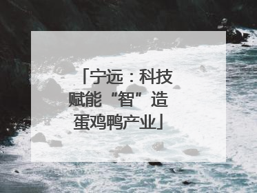 宁远：科技赋能“智”造蛋鸡鸭产业