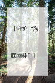 守护“海底雨林”