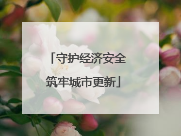 守护经济安全 筑牢城市更新