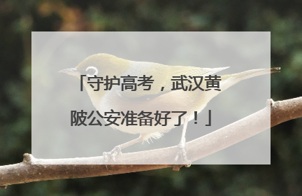 守护高考，武汉黄陂公安准备好了！