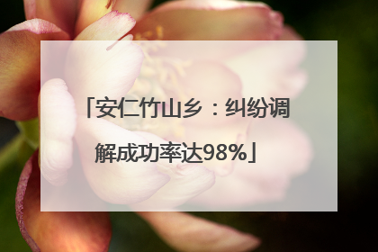 安仁竹山乡：纠纷调解成功率达98%