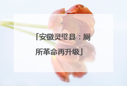安徽灵璧县：厕所革命再升级