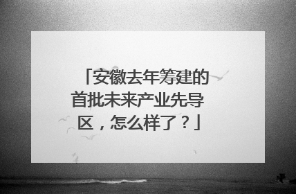 安徽去年筹建的首批未来产业先导区，怎么样了？