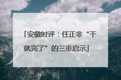 安徽时评：任正非“干就完了”的三重启示