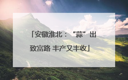 安徽淮北：“蒜”出致富路 丰产又丰收