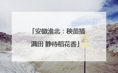 安徽淮北：秧苗插满田 静待稻花香