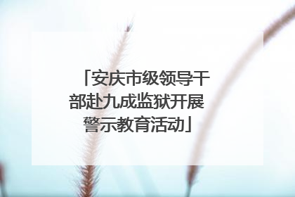 安庆市级领导干部赴九成监狱开展警示教育活动