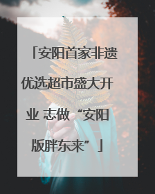 安阳首家非遗优选超市盛大开业 志做“安阳版胖东来”
