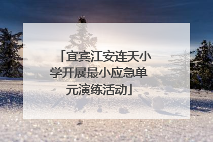 宜宾江安连天小学开展最小应急单元演练活动