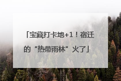 宝藏打卡地+1！宿迁的“热带雨林”火了
