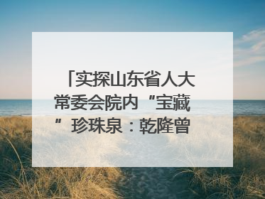 实探山东省人大常委会院内“宝藏”珍珠泉：乾隆曾为它题诗，游客无需预约免费游览