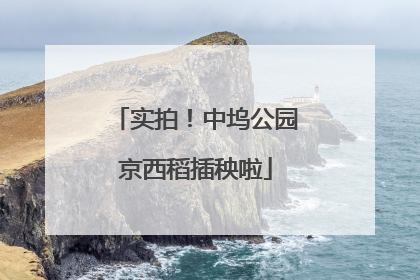 实拍！中坞公园京西稻插秧啦