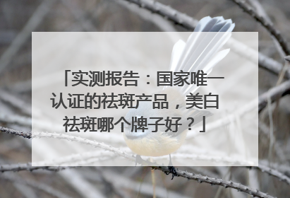 实测报告：国家唯一认证的祛斑产品，美白祛斑哪个牌子好？