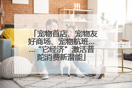 宠物首店、宠物友好商场、宠物航班……“它经济”激活普陀消费新潜能