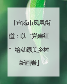 宣威市凤凰街道：以“党建红”绘就绿美乡村新画卷