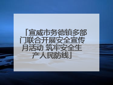 宣威市务德镇多部门联合开展安全宣传月活动 筑牢安全生产人民防线