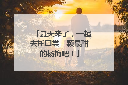 夏天来了，一起去托口尝一颗最甜的杨梅吧！