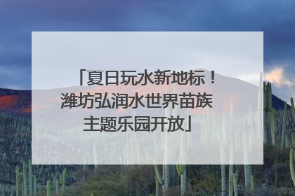夏日玩水新地标！潍坊弘润水世界苗族主题乐园开放