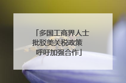 多国工商界人士批驳美关税政策 呼吁加强合作
