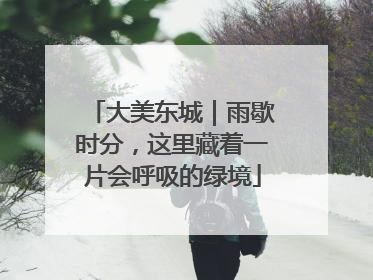 大美东城｜雨歇时分，这里藏着一片会呼吸的绿境