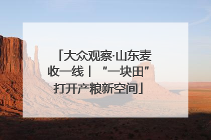 大众观察·山东麦收一线丨“一块田”打开产粮新空间