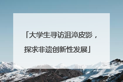 大学生寻访沮漳皮影，探求非遗创新性发展
