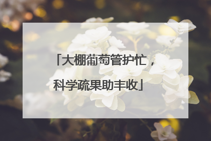 大棚葡萄管护忙，科学疏果助丰收