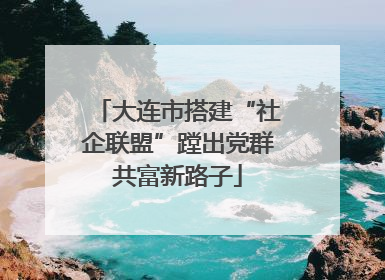 大连市搭建“社企联盟”蹚出党群共富新路子