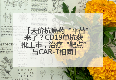 天价抗癌药“平替”来了？CD19单抗获批上市，治疗“靶点”与CAR-T相同