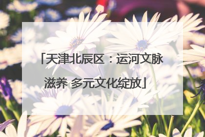 天津北辰区：运河文脉滋养 多元文化绽放