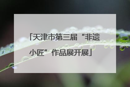 天津市第三届“非遗小匠”作品展开展