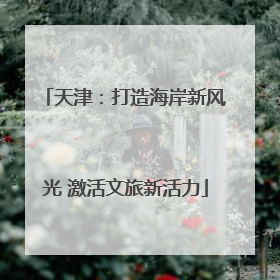 天津：打造海岸新风光 激活文旅新活力