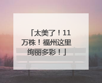 太美了！11万株！福州这里绚丽多彩！
