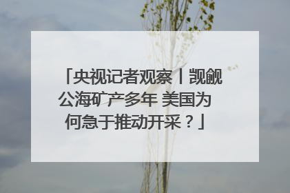 央视记者观察丨觊觎公海矿产多年 美国为何急于推动开采？