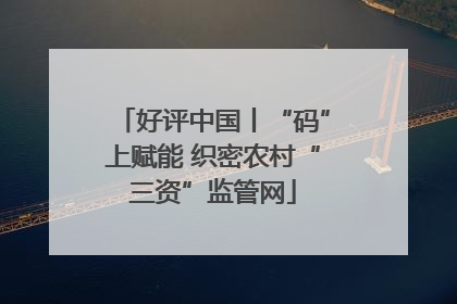 好评中国丨“码”上赋能 织密农村“三资”监管网
