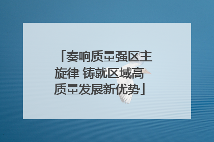 奏响质量强区主旋律 铸就区域高质量发展新优势