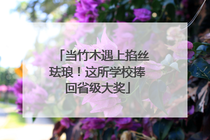 当竹木遇上掐丝珐琅！这所学校捧回省级大奖