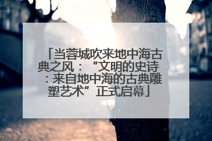 当蓉城吹来地中海古典之风：“文明的史诗：来自地中海的古典雕塑艺术”正式启幕